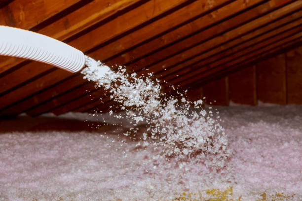 Insulation Contractors for Homes in Cassville, WV