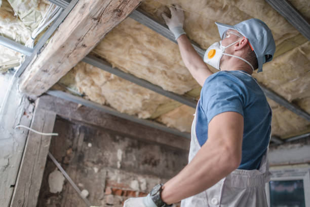 Best Fiberglass Insulation  in Cassville, WV