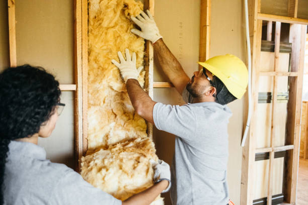 Best Energy-efficient Insulation  in Cassville, WV