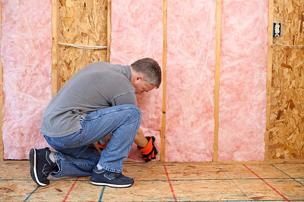 Best Spray Foam Insulation  in Cassville, WV