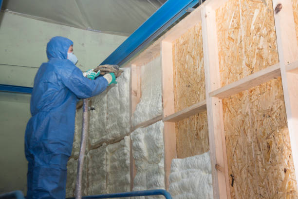 Best Attic Insulation Installation  in Cassville, WV