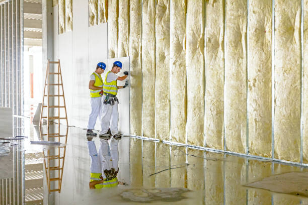 Best Insulation Inspection Services  in Cassville, WV